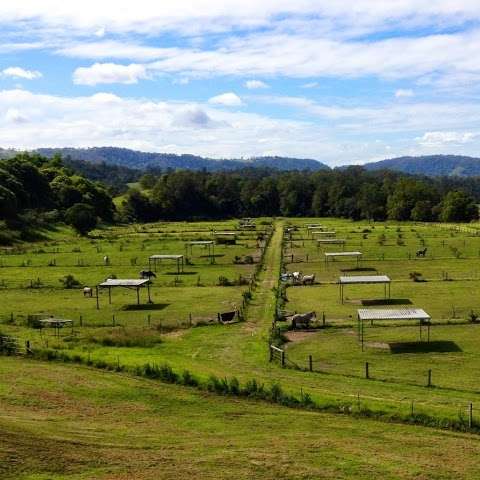 Photo: Laceys Creek Farm. Equestrian and Agistment Centre